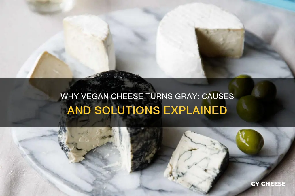 why is vegan cheese gary
