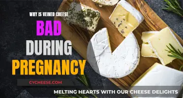 Veined Cheese Risks During Pregnancy