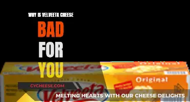 Velveeta Cheese: Why It's Bad for Your Health
