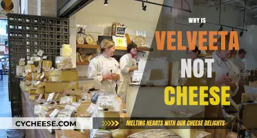 Velveeta's Secret: Why It's Not Real Cheese Explained