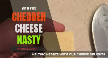 Why White Cheddar's Nastiness Lies in Its Processed Nature