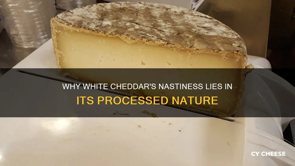 why is white chedder cheese nasty