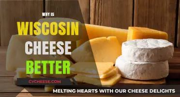Wisconsin Cheese: Unmatched Quality, Flavor, and Tradition Explained