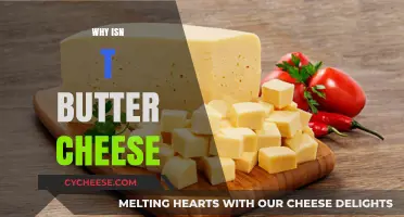 Butter vs. Cheese: Unraveling the Dairy Mystery of Why They Differ
