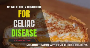 Bleu Cheese: A Safe Treat for Celiacs