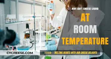Why Cheese Stays Solid: The Science Behind Its Room Temperature Texture