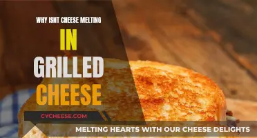 The Mystery of Non-Melting Cheese in Grilled Sandwiches