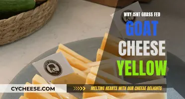 The Science Behind the Color: Why Grass-Fed Goat Cheese Isn't Always Yellow