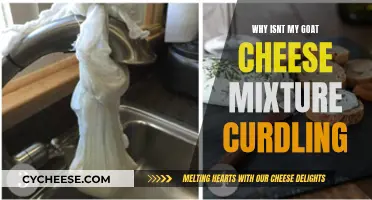 Goat Cheese Not Curdling? Try These Fixes