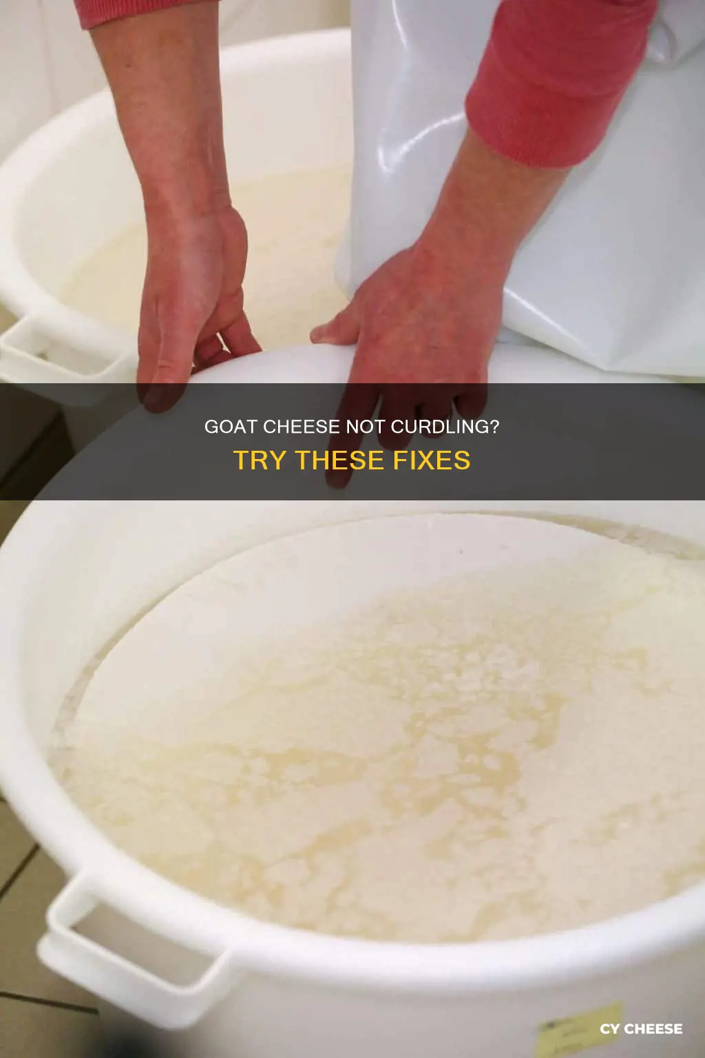why isnt my goat cheese mixture curdling