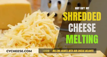 The Mystery of Non-Melting Shredded Cheese