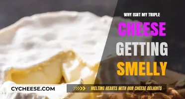 Unraveling the Mystery of Odorless Triple Cheese