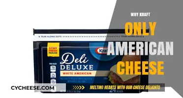 Why Kraft American Cheese Reigns Supreme in American Kitchens
