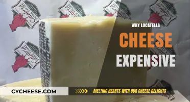 Why Locatelli Cheese Commands a Premium Price Tag