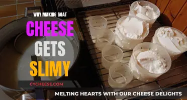 The Slime Factor: Unveiling the Science Behind Goat Cheese's Texture