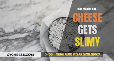 Goat Cheese Slime: What Causes It?