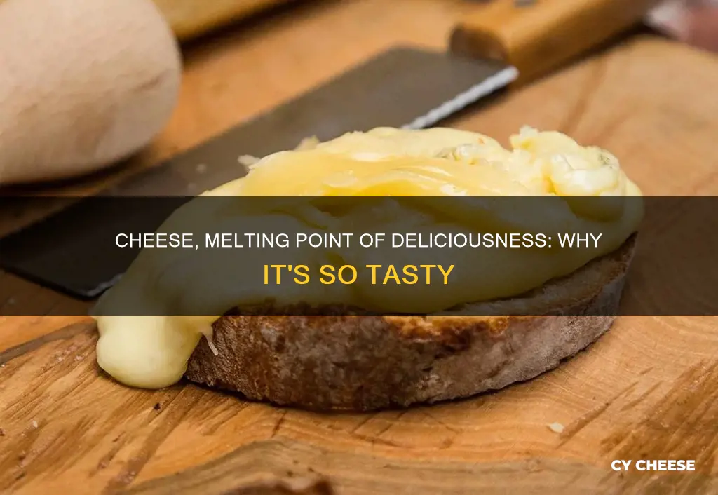 why melted cheese so tasty relative to unmelted