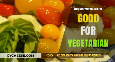 Why Mozzarella Cheese is a Vegetarian's Nutritious and Delicious Choice