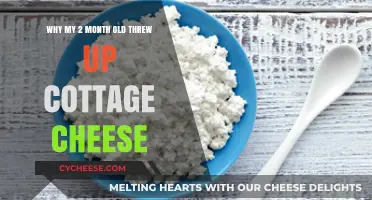 Cottage Cheese Vomiting in Infants: Understanding Your 2-Month-Old's Reaction