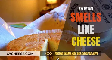 The Mystery of Cheesy Face Odor: Unraveling the Stink
