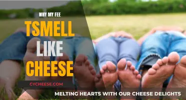 Cheesy Feet: Why Do My Feet Stink Like Cheddar?