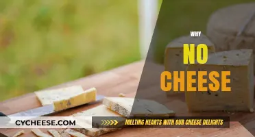Why No Cheese? Uncovering the Reasons Behind the Dairy Dilemma