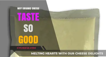 The Secret Behind Organic Cheese's Irresistible Flavor and Appeal