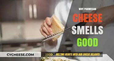 The Irresistible Aroma of Parmesan: Unlocking Its Savory Secrets