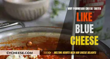 Parmesan and Blue Cheese: Similarities in Taste and Aroma