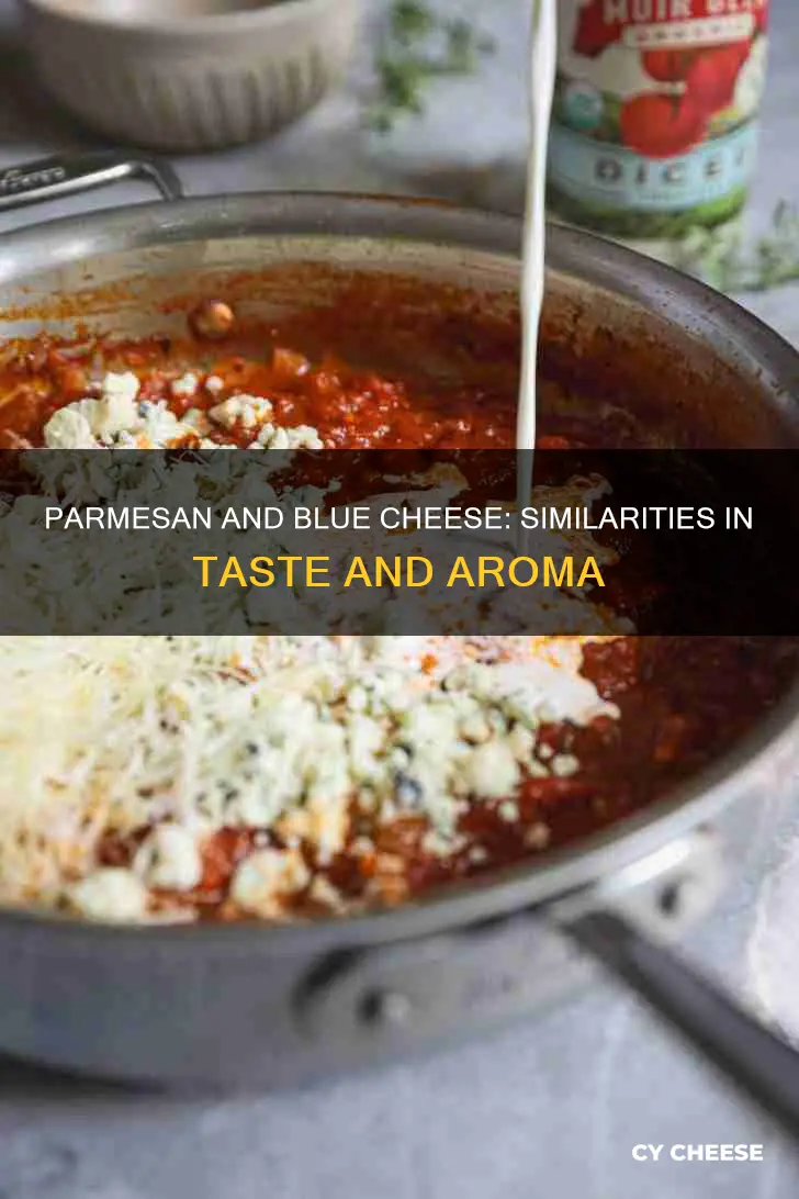 why parmesan cheese tastes like blue cheese