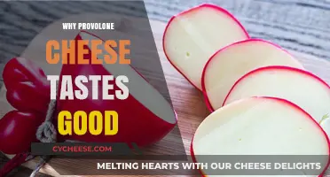 The Irresistible Flavor of Provolone: A Cheese Lover's Delight