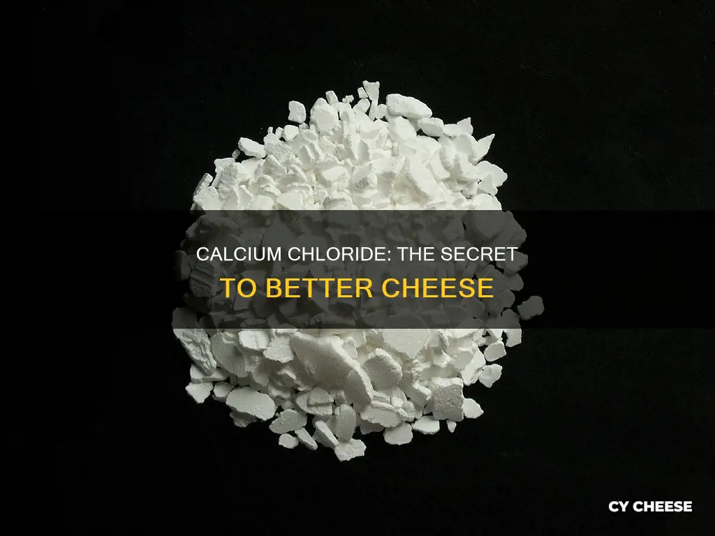 why put calcium cloride in cheese making