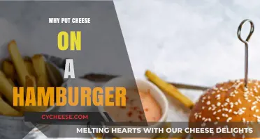 Cheese on Hamburgers: A Match Made in Heaven