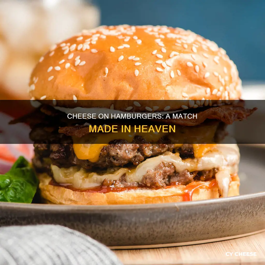 why put cheese on a hamburger