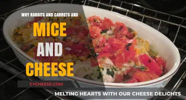 Rabbits Love Carrots, Mice Crave Cheese: Unraveling the Classic Pairings