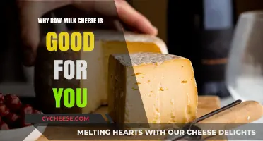 Raw Milk Cheese: Unprocessed Nutrition and Health Benefits Explained