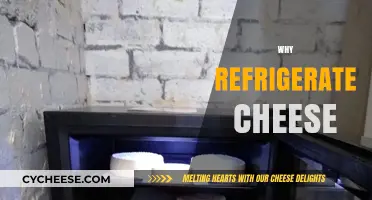 Why Refrigerate Cheese: Preserving Flavor, Texture, and Freshness