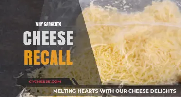Understanding the Recent Sargento Cheese Recall: Causes and Consumer Safety