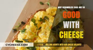 Cheesy Bliss: Why Scrambled Eggs and Cheese Are a Perfect Match