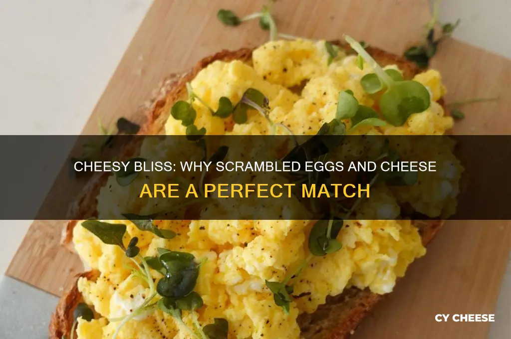 why scrambled eggs are so good with cheese