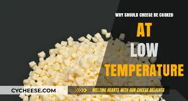 Cooking Cheese: Low and Slow for Melty Bliss