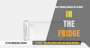 Why Cheese Belongs in the Fridge: Preserving Freshness and Flavor
