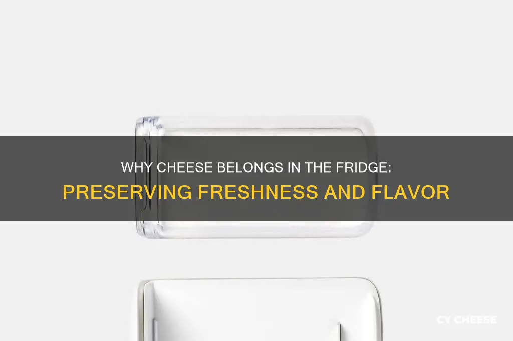 why should cheese be stored in the fridge