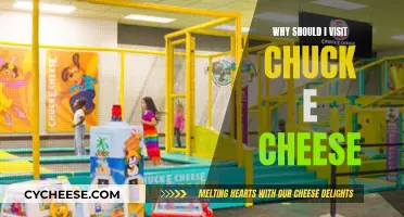 Chuck E. Cheese: Fun, Food, and Family Time