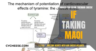 Cheddar Cheese and MAOI: A Potential Hazardous Combination