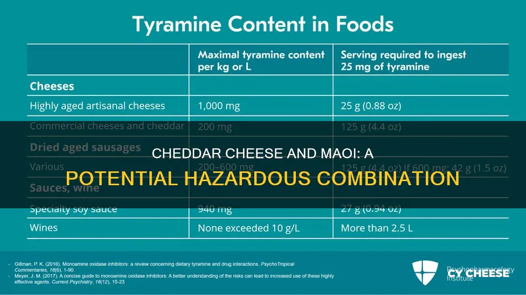 why should you avoid cheddar cheese if taking maoi