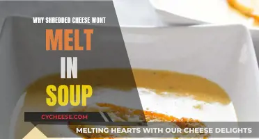 Shredded Cheese Won't Melt: Soup's Solid Secret