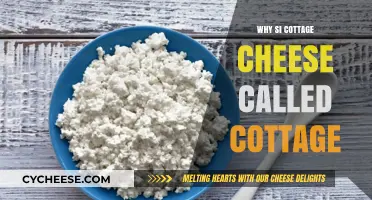 Why Cottage Cheese is Named Cottage: Unraveling the Dairy Mystery