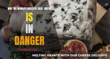 Blue Cheese's Future in Danger: Why It Matters