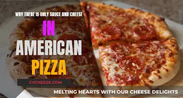 Unraveling the Mystery: Why American Pizzas Lack Toppings